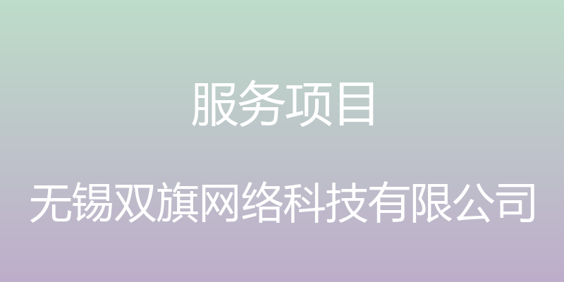 服务项目 - 无锡双旗网络科技有限公司